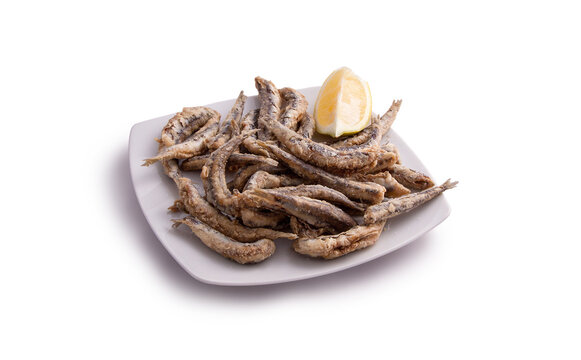 Pescadito frito pescado frito