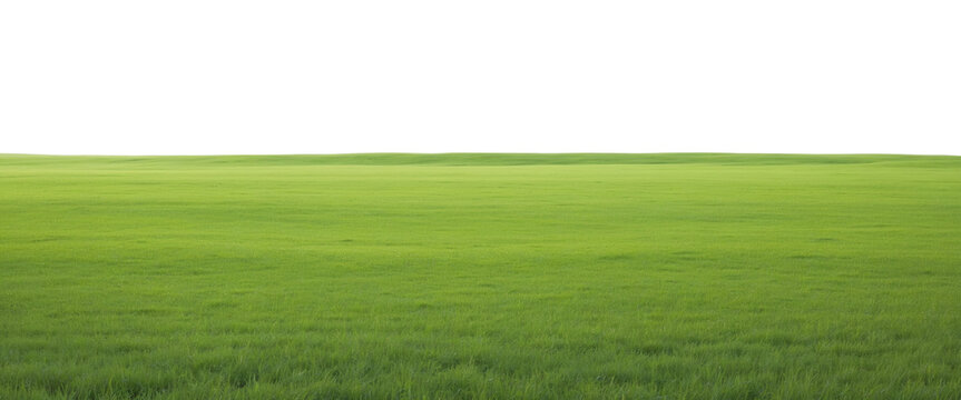 Natural view of grass hills on transparent background