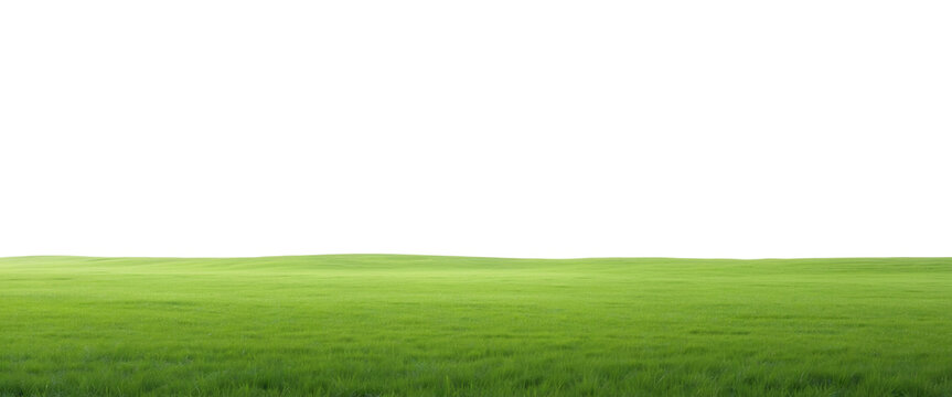 Natural view of grass hills on transparent background