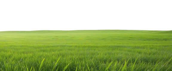 Fototapeta na wymiar Natural view of grass hills on transparent background