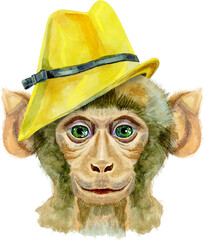 Monkey in yellow hat. Watercolor illustration isolated on white background.