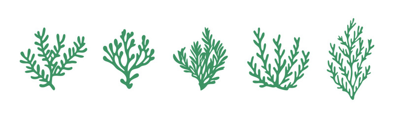 Marine plants ocean foliage green aquatic sea grass vector set - obrazy, fototapety, plakaty