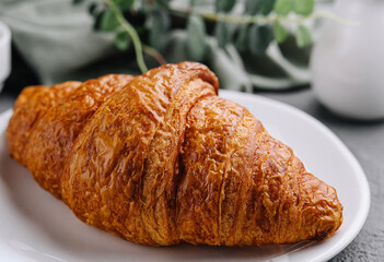 A fresh croissant on plate close up