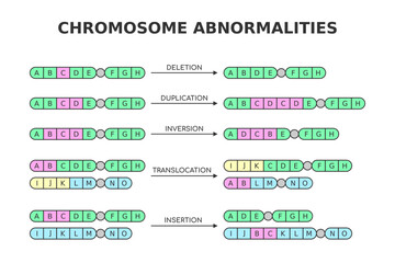 Chromosomal abnormalities. Deletion, duplication, inversion, translocation, insertion. Chromosome structure aberrations, mutations. Medical science diagram. Genetics and DNA. Vector illustration.