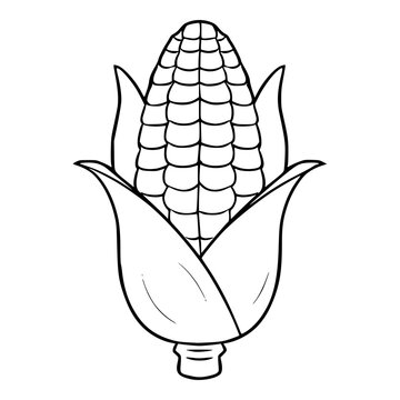 recommend clip art: corn illustration hand drawn outline isolated vector