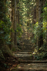 熊野古道 大門坂
Kumano Kodo Daimonzaka