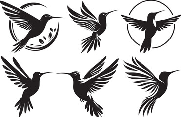 Hummingbird silhouette vector illustration