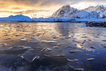 Frozen lake with thin broken ice floes on surface in backlit at the golden sunset time in Lofoten,...