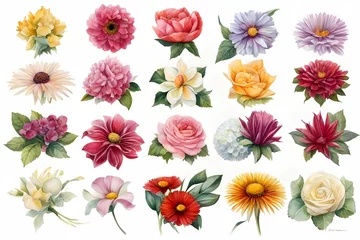 Foto op Plexiglas set of flowers 37 © Pink Finger