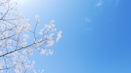 clear blue sky is a clear blue sky. Like a picture in a fairy tale