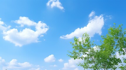 Obraz premium clear blue sky is a clear blue sky. Like a picture in a fairy tale