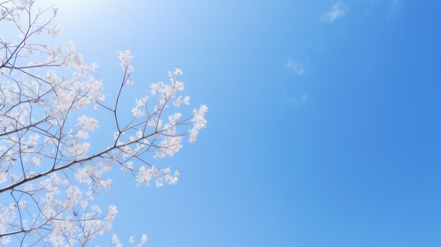 clear blue sky is a clear blue sky. Like a picture in a fairy tale