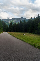Rohacska dolina valley with peaks above in Western Tatras mountains in Slovakia © honza28683