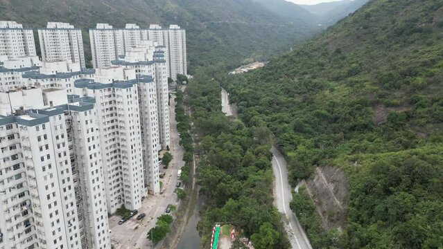the Mui Tsz Lam Tai Shui Hang Stream Feb 24 2024