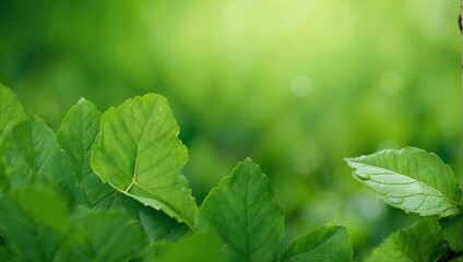photo of fresh green leaves in the morning made by AI generative