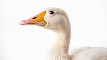 Elegant Profile A Gooses Portrait