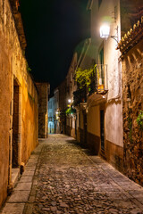 Fototapeta na wymiar Quaint alley at night with medieval stone buildings, Caceres, Spain.