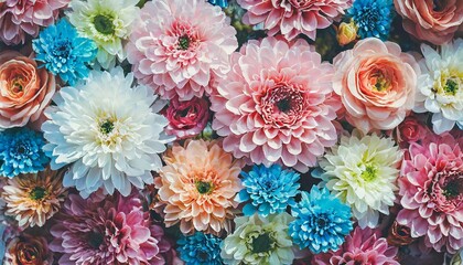 Close-up of colorful flowers. Spring season. Floral background.