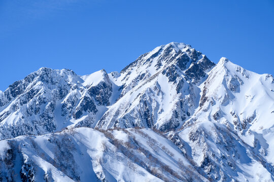 【北アルプス】冬の小遠見山山頂からの五竜岳