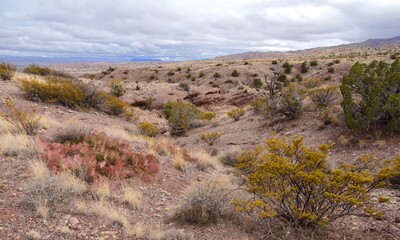 Fototapeta na wymiar panoramic views while hiking in the box canyon recreation area in winter on a stormy day, near socorro, new mexico