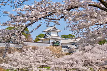 金沢市を代表する観光スポット「春の金沢城」。桜のお花見シーズンがお勧め。写真は兼六園から撮影。