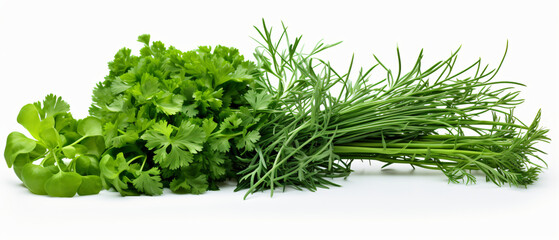 Food photography background banner kitchen herb