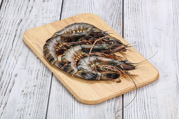 Raw tiger prawn for cooking