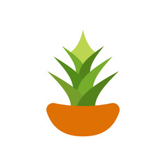 Indoor Plant In Pot Flat Style