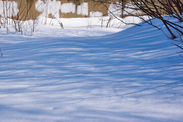 Stems  of tall grass in a snowdrift