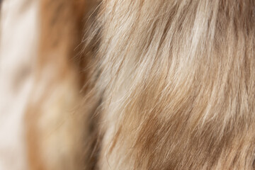 A background of vintage mink fur coats in shades of beige and brown. Shallow depth of field texture suitable for Animal Cruelty or luxury goods projects.