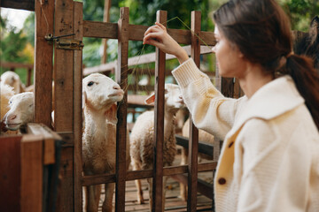 A woman is petting a sheep through a fence in a fenced in pen