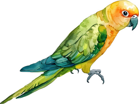 Colorful Watercolor Vector Bird