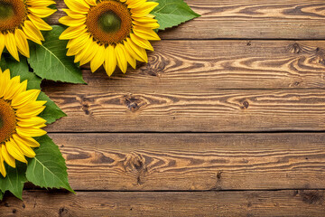 sunflower on wooden. holiday background