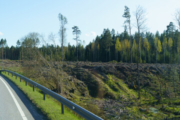 Roadside View of Deforested Land Under a Clear Blue Sky in Midday Sunlight