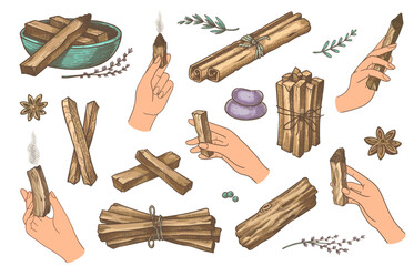 Hands with palo santo sticks. Palm holding wooden fragrant sticks for aroma therapy and meditations. Vector hand drawn mystic healing and relaxation sticks
