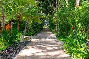 Experience the incomparable beauty of the Maldives! Relax on white sandy beaches, dive into crystal-clear seawater and explore the fascinating underwater world while snorkeling.