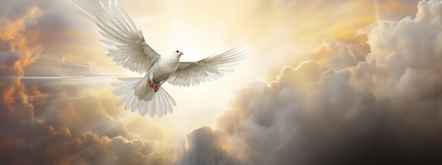 a white dove flying over the sun in a cloudy sky, in the religious style
