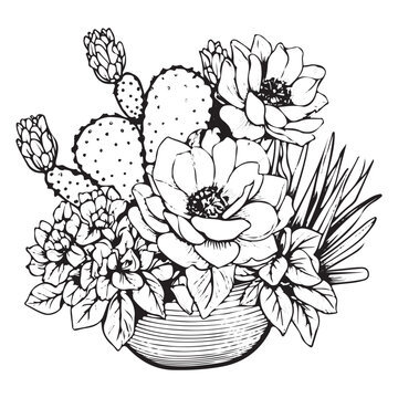 Hand Drawn Sketched Outline Cactus Silhouette. Mexican Plant Realistic Vector Illustration