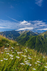 Fototapeta premium Landscape near Col d'Agnes, Department of Ariege, Pyrenees, France