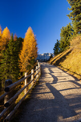 Peitlerkofel Mountain, Dolomiti near San Martin De Tor, South Tyrol, Italy