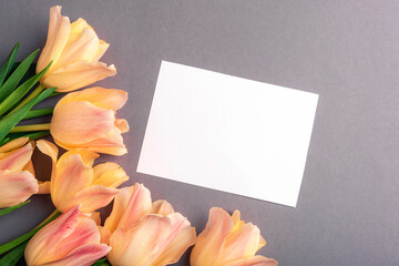 Blank card and yellow-pink tulips on gray background. Spring holidays, womens day, mothers day concept. Top view, flat lay, mockup