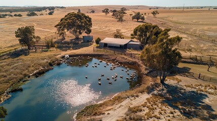large Western Australian sheep farm, aerial view, farm house, sheep, small dam, summer clear sky, photo realistic