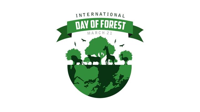 international day of forest animation video forest day animated