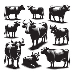 Set of cow silhouettes isolated on a white background, Vector illustration.