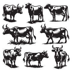 Set of cow silhouettes isolated on a white background, Vector illustration.