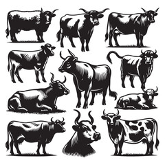 Set of cow silhouettes isolated on a white background, Vector illustration.