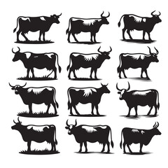 Set of cow silhouettes isolated on a white background, Vector illustration.