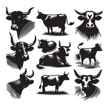 Set of cow silhouettes isolated on a white background, Vector illustration.