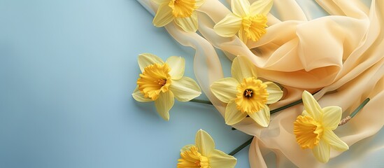 A collection of bright yellow daffodils arranged against a soft blue backdrop, perfect for a celebratory card or banner. The vibrant yellow flowers contrast beautifully with the calming blue hue.