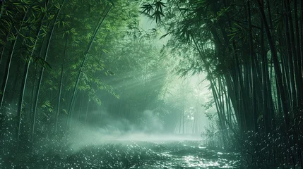 Fototapeten shockingly beautiful bamboo forest at sunrise, misty, dark, lush green, wet ground, extremely relaxing and sleep inducing © paisorn